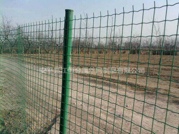 公路护栏网图片4
