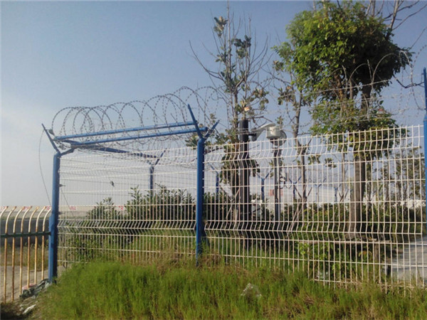 刺绳护栏网图片3